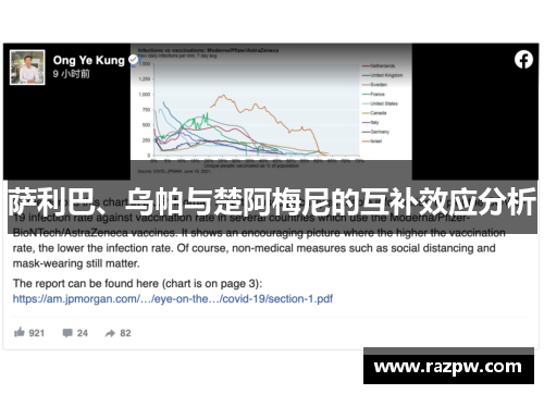 萨利巴、乌帕与楚阿梅尼的互补效应分析