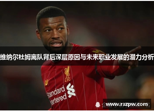 维纳尔杜姆离队背后深层原因与未来职业发展的潜力分析